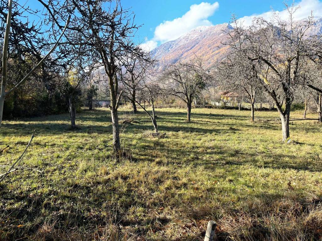 immagine annuncio 1 di 8