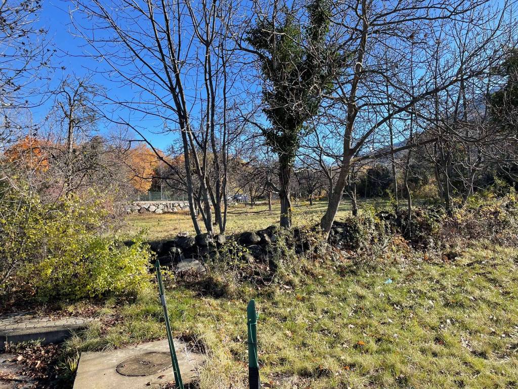 immagine annuncio 2 di 8