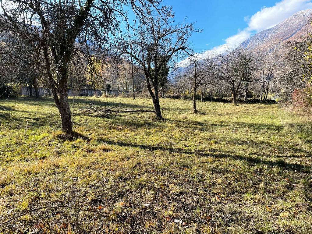 immagine annuncio 3 di 8