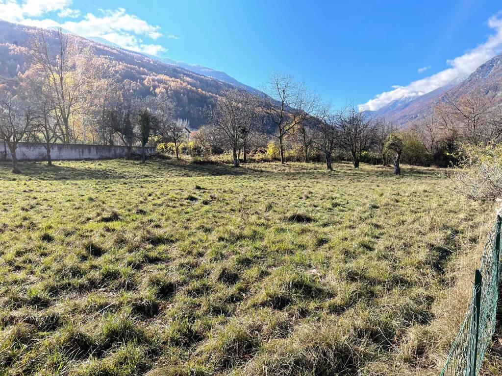 immagine annuncio 5 di 8