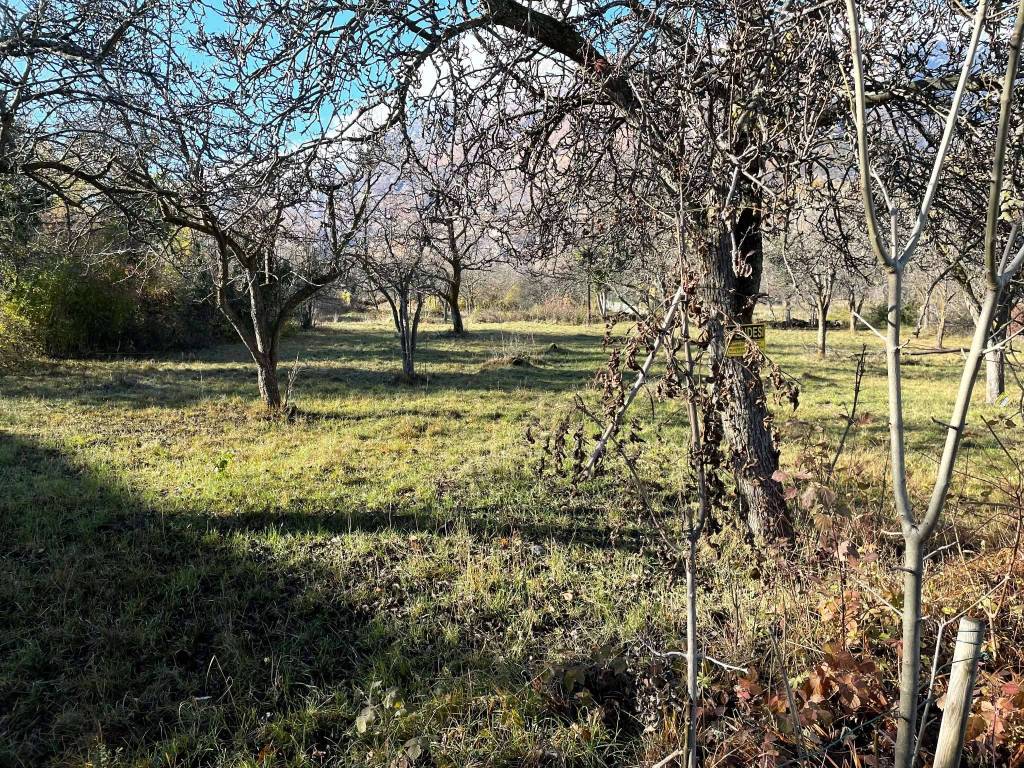 immagine annuncio 6 di 8