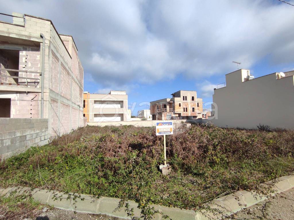 immagine annuncio 2 di 7