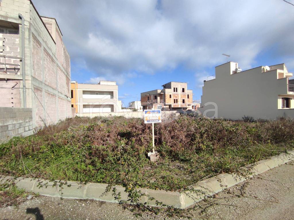 immagine annuncio 4 di 7