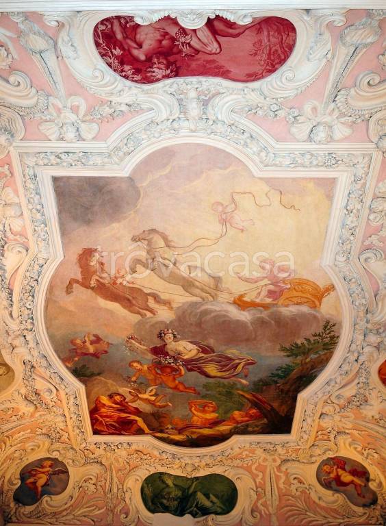 immagine annuncio 2 di 6