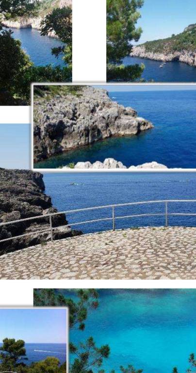 immagine annuncio 1 di 3