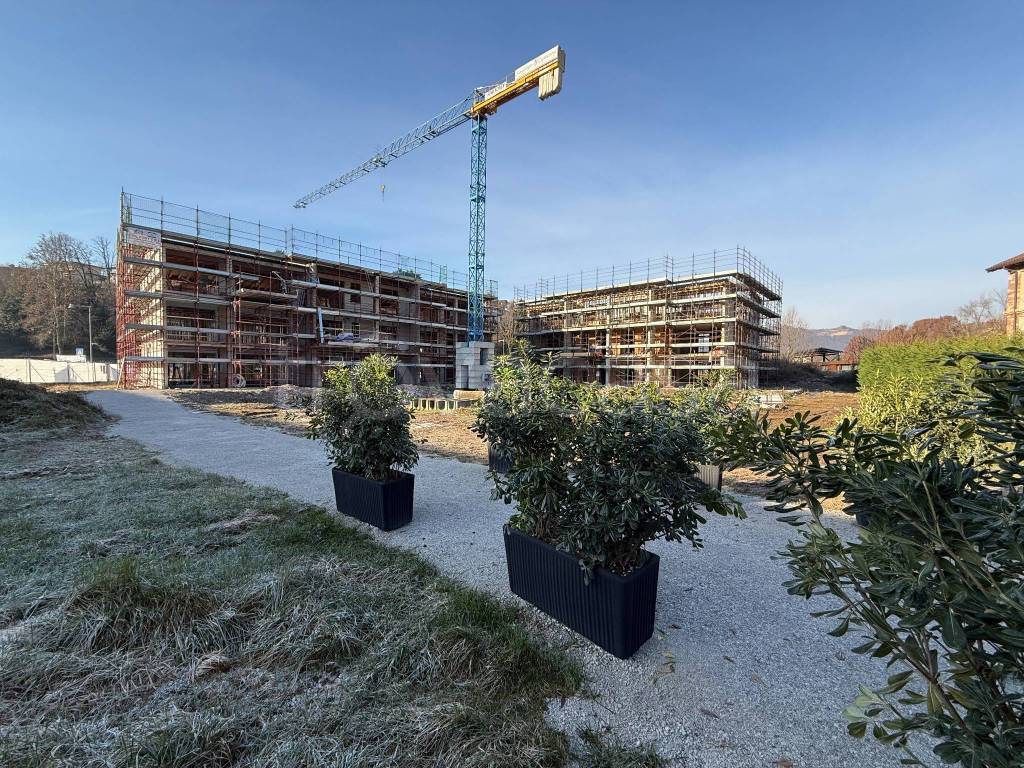 immagine annuncio 3 di 8