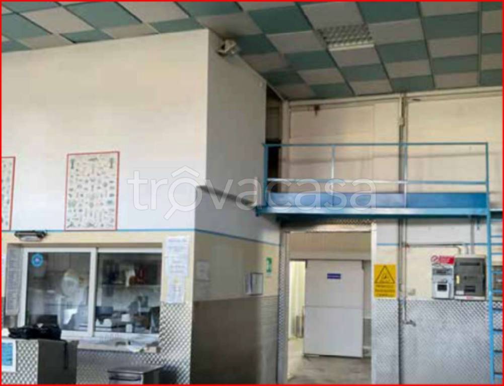 immagine annuncio 6 di 13