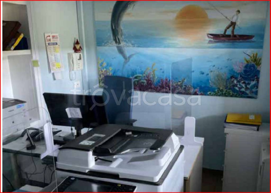 immagine annuncio 7 di 13