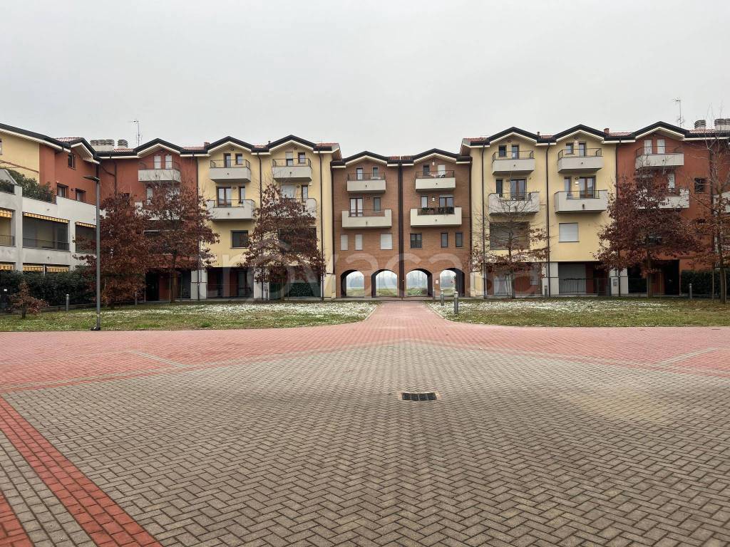 immagine annuncio 9 di 12