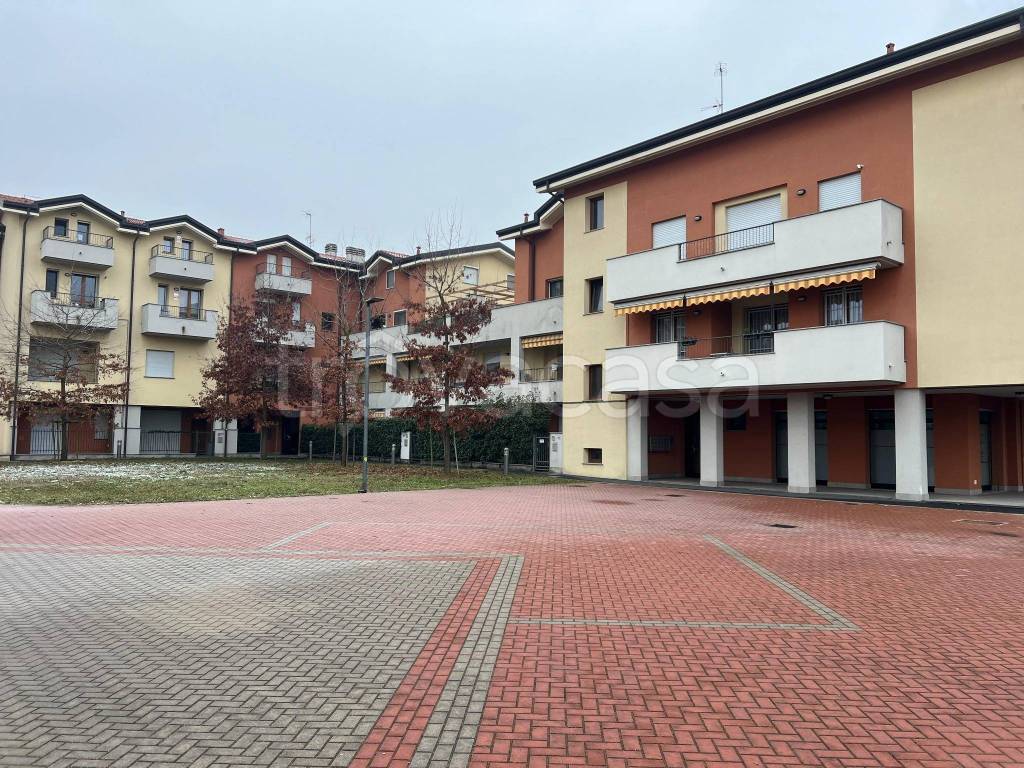 immagine annuncio 11 di 12