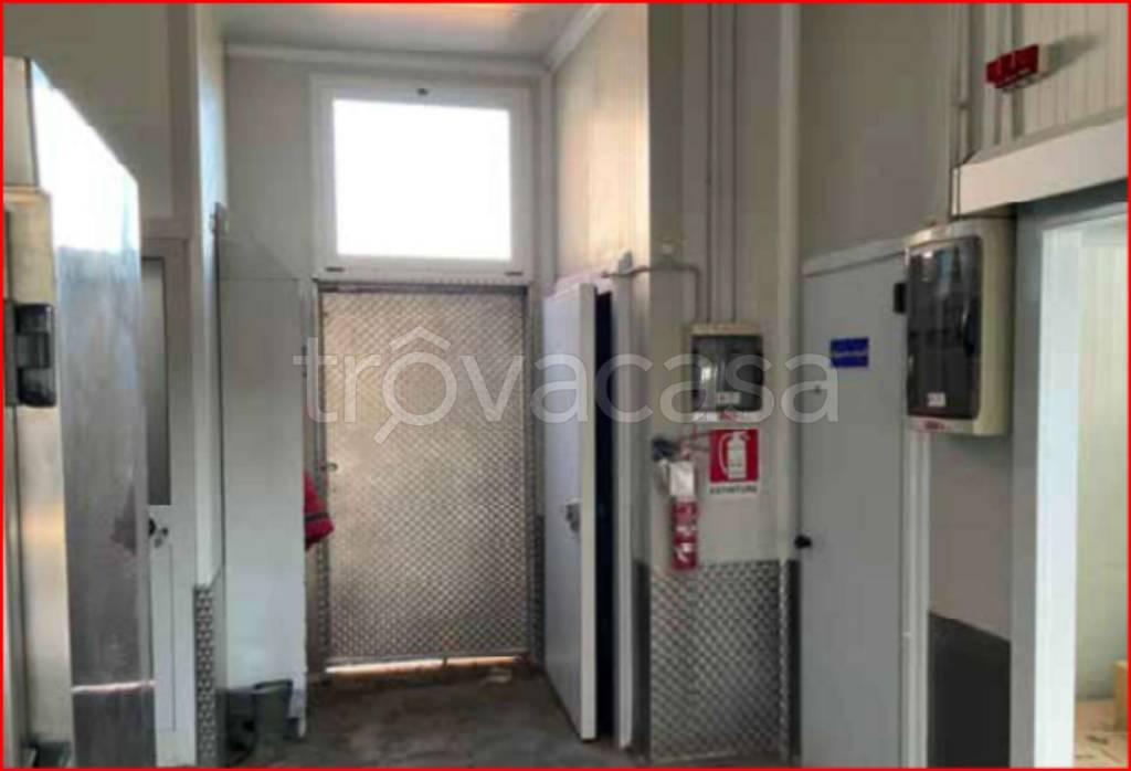 immagine annuncio 9 di 13