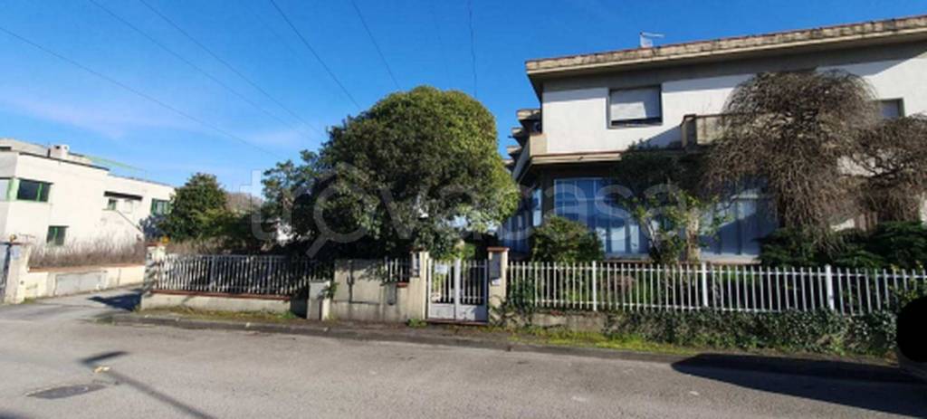 immagine annuncio 8 di 12