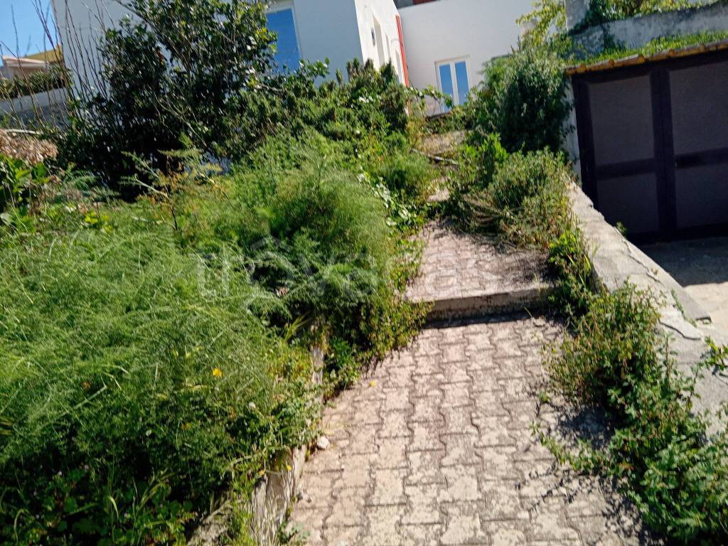 immagine annuncio 10 di 14