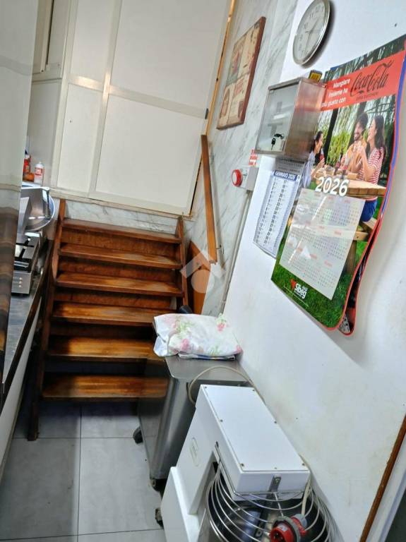 immagine annuncio 4 di 14