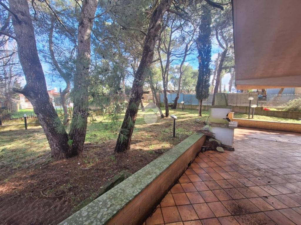 immagine annuncio 2 di 7