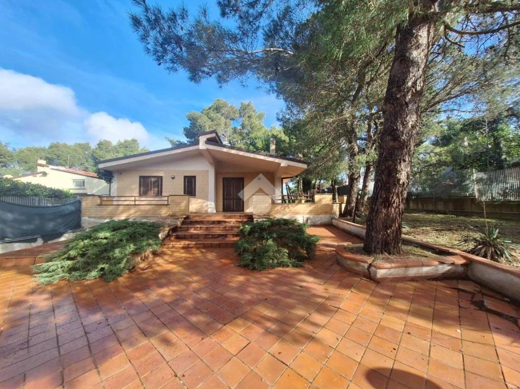 immagine annuncio 3 di 7