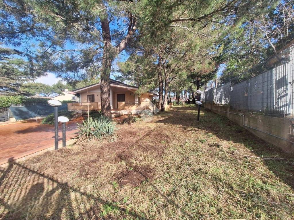 immagine annuncio 4 di 7