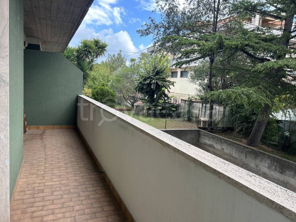 immagine annuncio 11 di 14