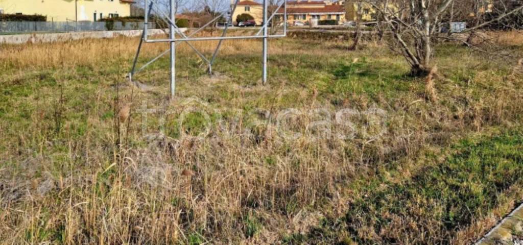 immagine annuncio 2 di 11