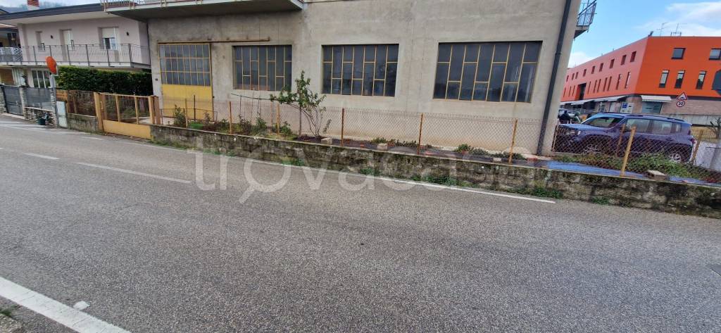 immagine annuncio 4 di 6