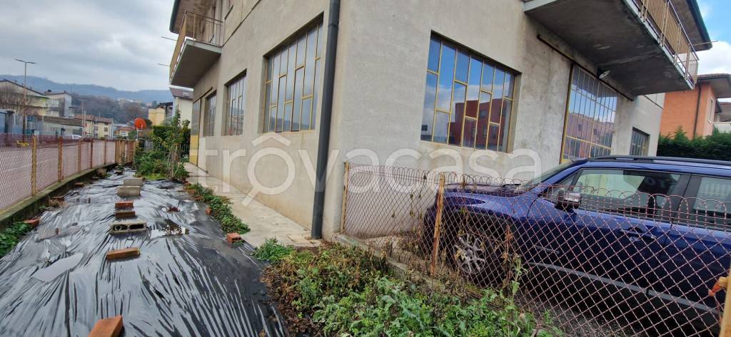 immagine annuncio 5 di 6