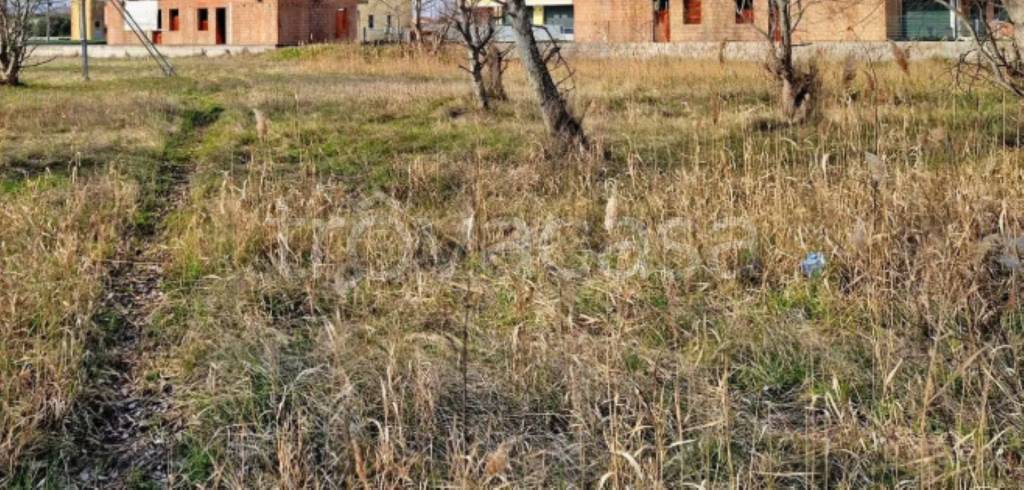 immagine annuncio 5 di 11