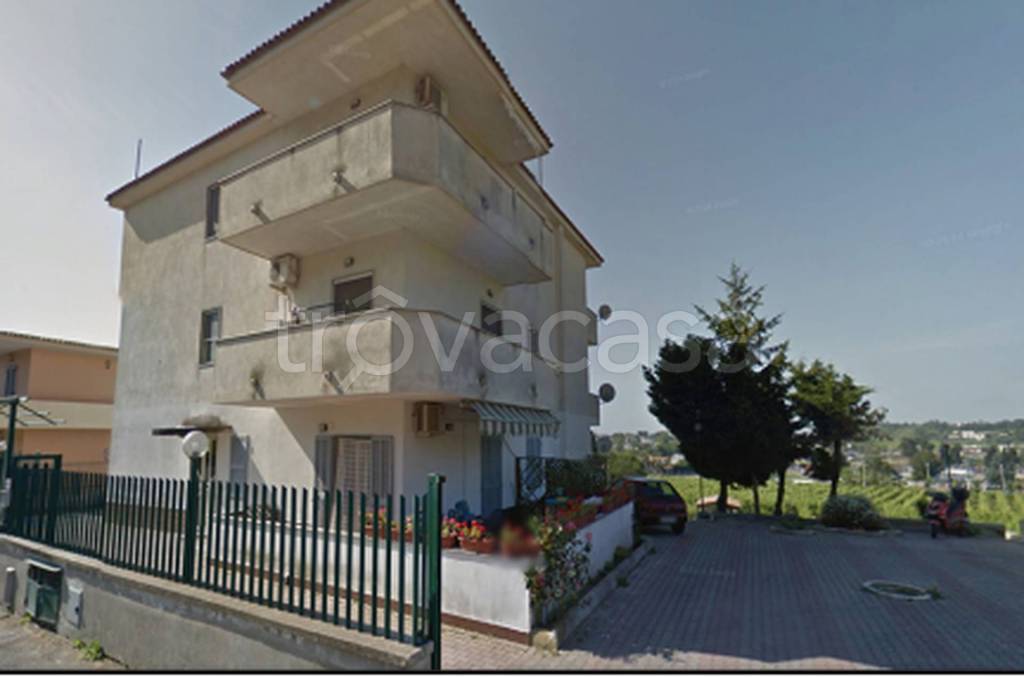 immagine annuncio 6 di 13