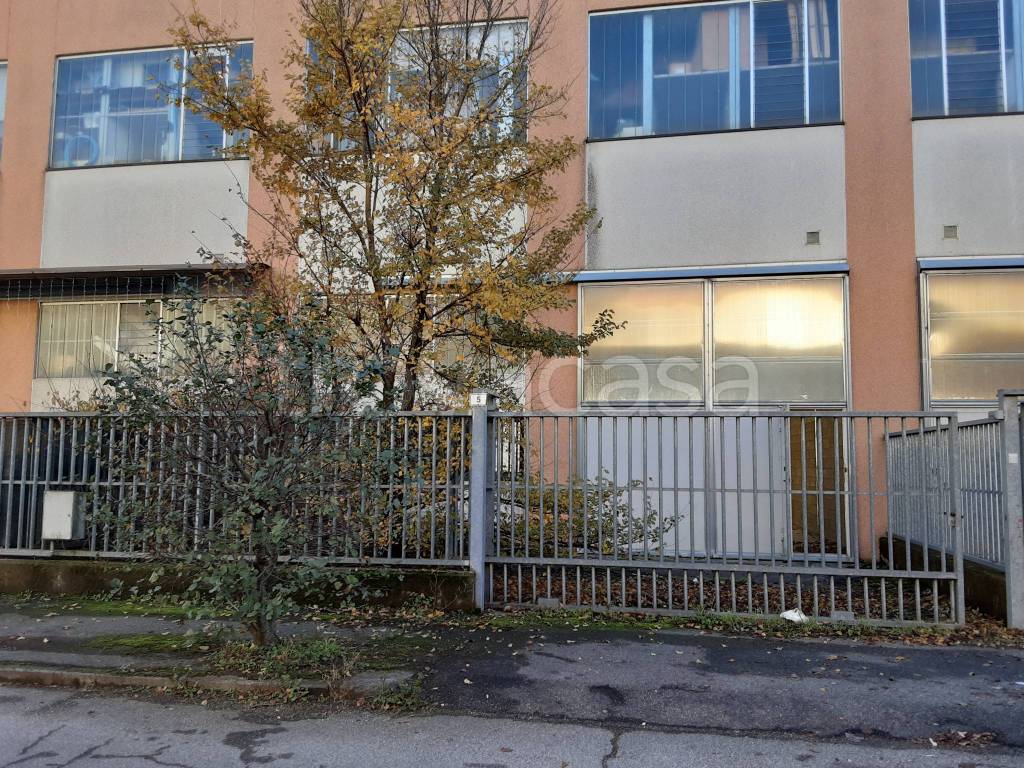 immagine annuncio 2 di 15