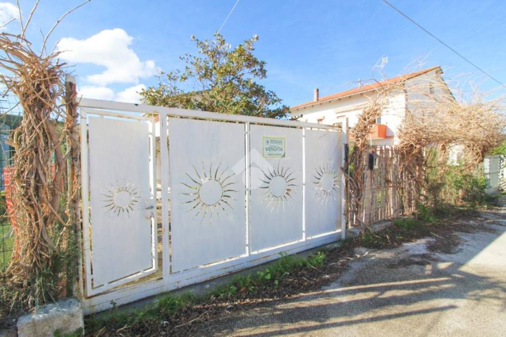 immagine annuncio 3 di 13