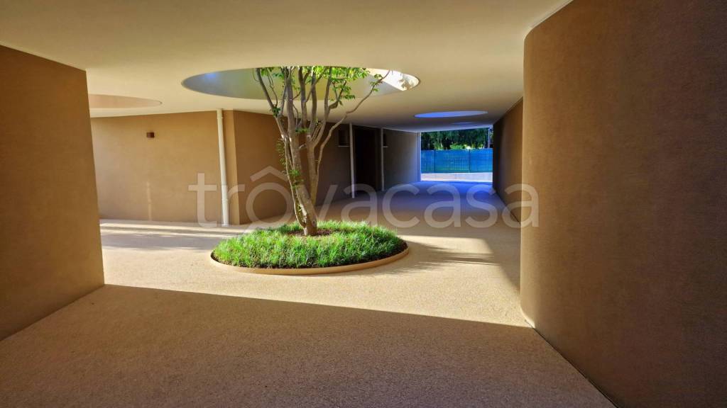 immagine annuncio 5 di 12