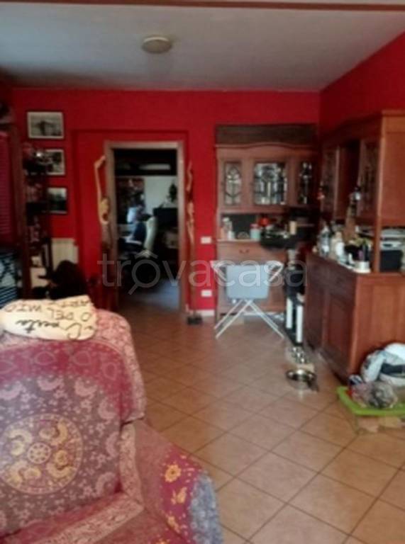 immagine annuncio 3 di 11