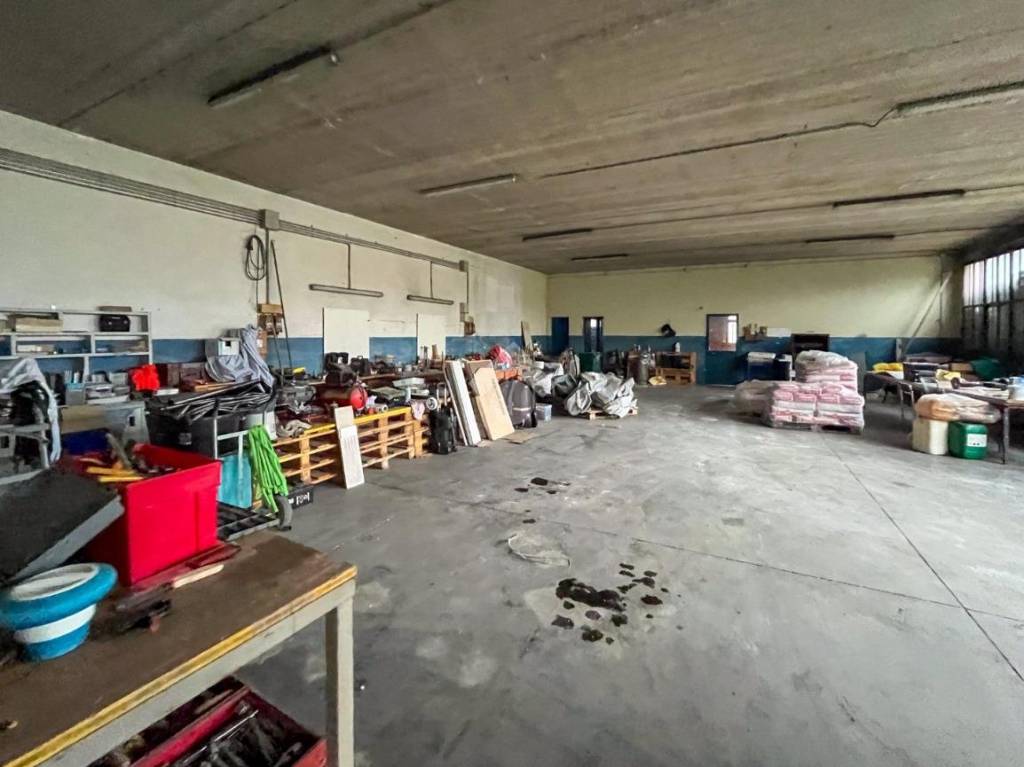 immagine annuncio 9 di 15