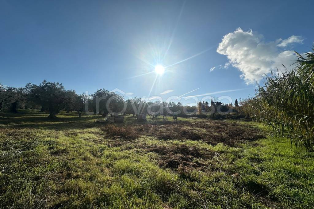 immagine annuncio 1 di 7