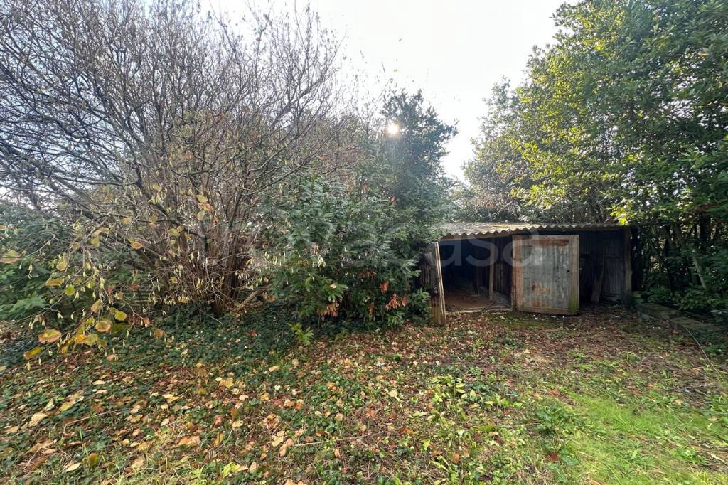 immagine annuncio 6 di 7