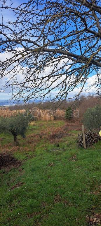 immagine annuncio 4 di 14