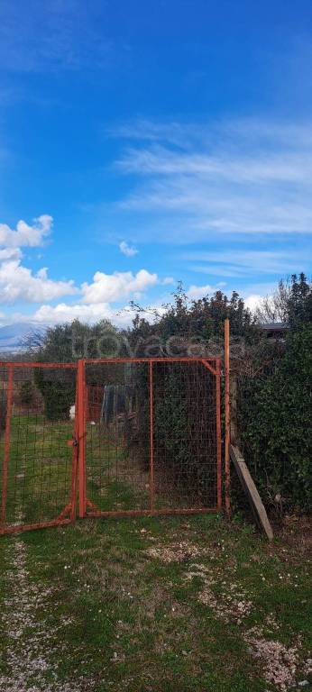 immagine annuncio 12 di 14