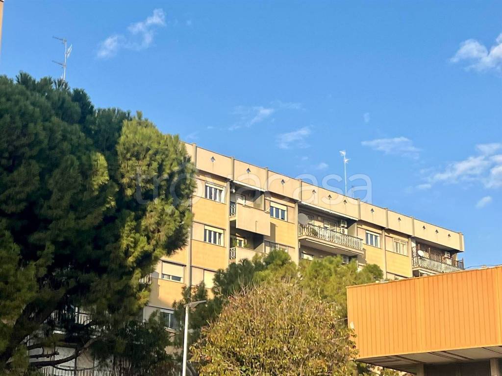 immagine annuncio 1 di 3