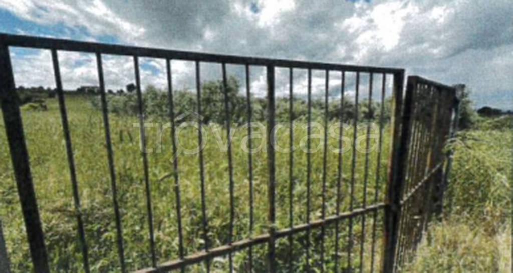 immagine annuncio 6 di 12