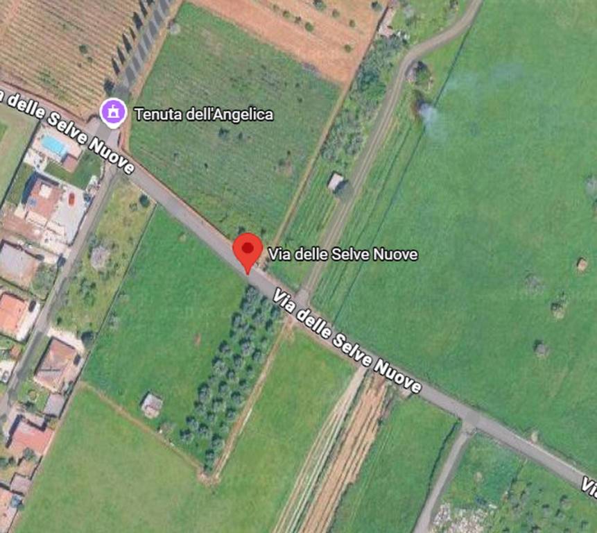 immagine annuncio 8 di 12