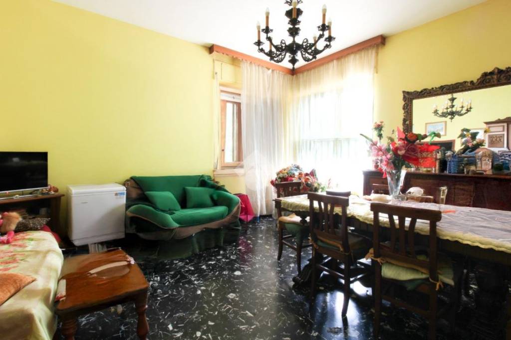 immagine annuncio 3 di 14