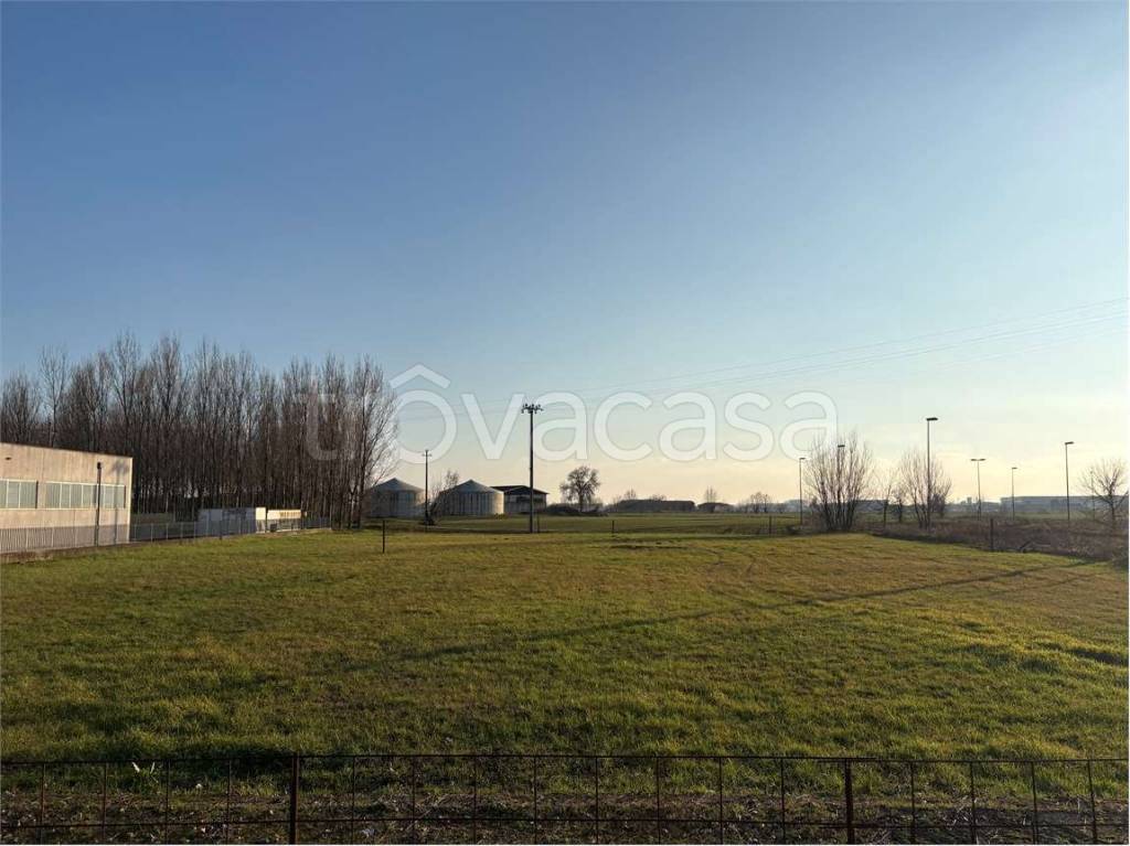 immagine annuncio 2 di 6