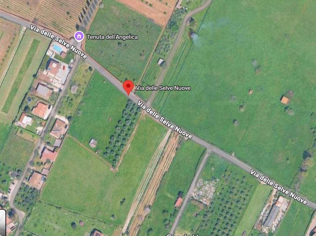 immagine annuncio 6 di 9