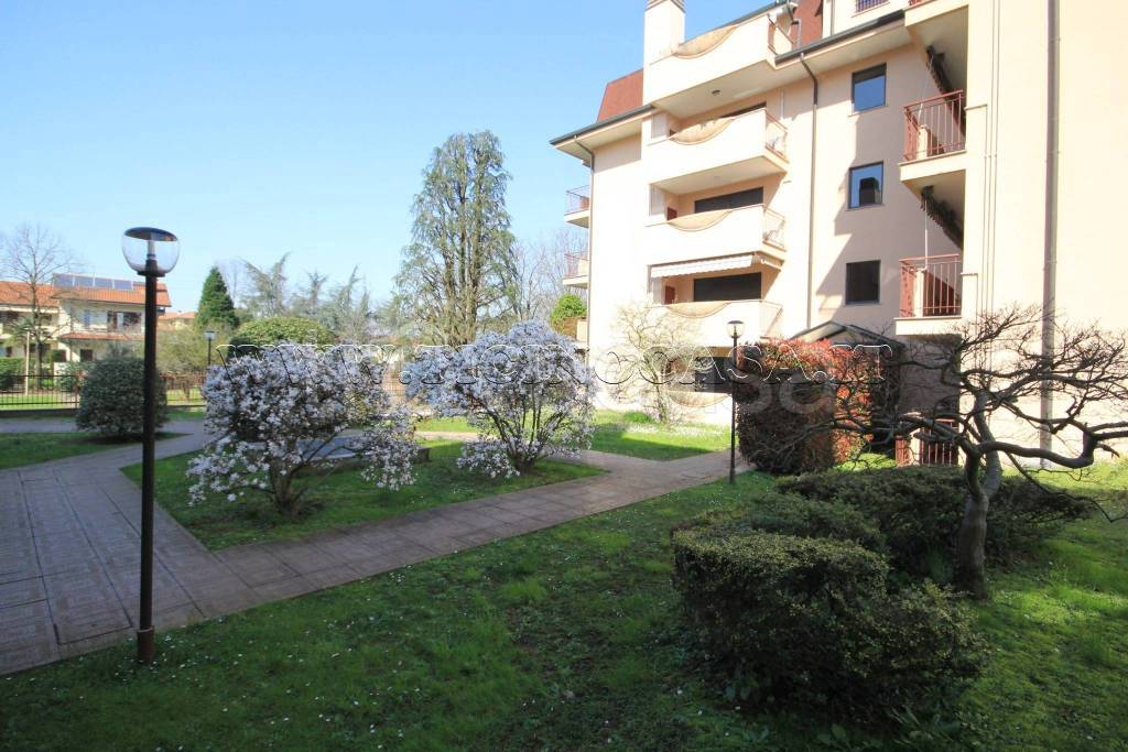 immagine annuncio 2 di 12