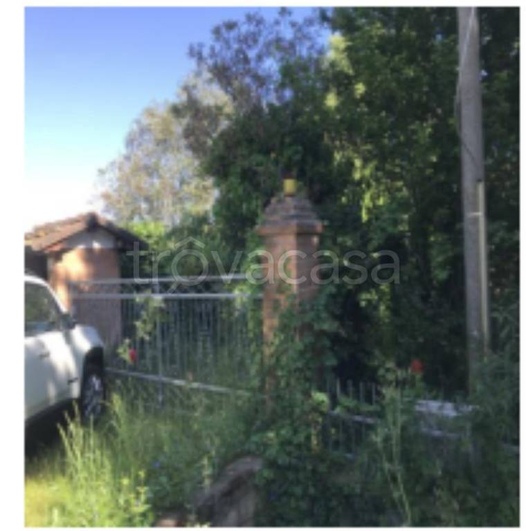 immagine annuncio 3 di 14