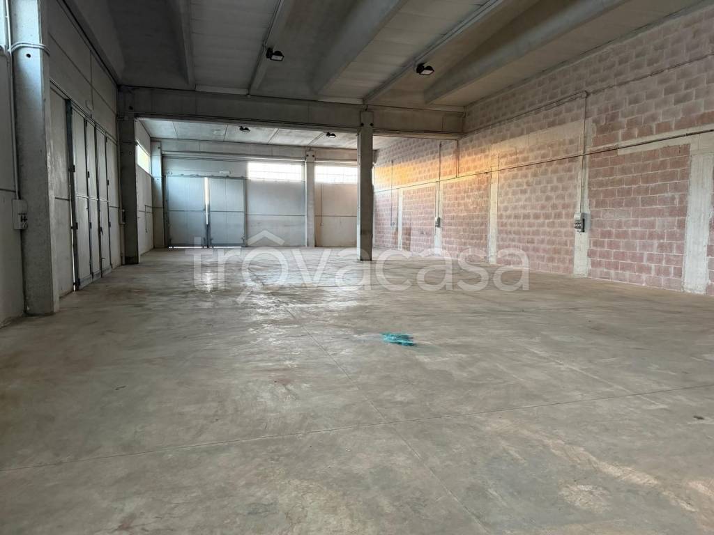 immagine annuncio 4 di 13