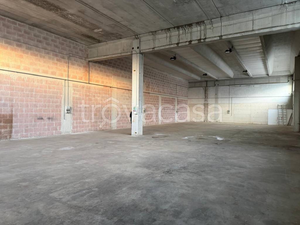 immagine annuncio 5 di 13