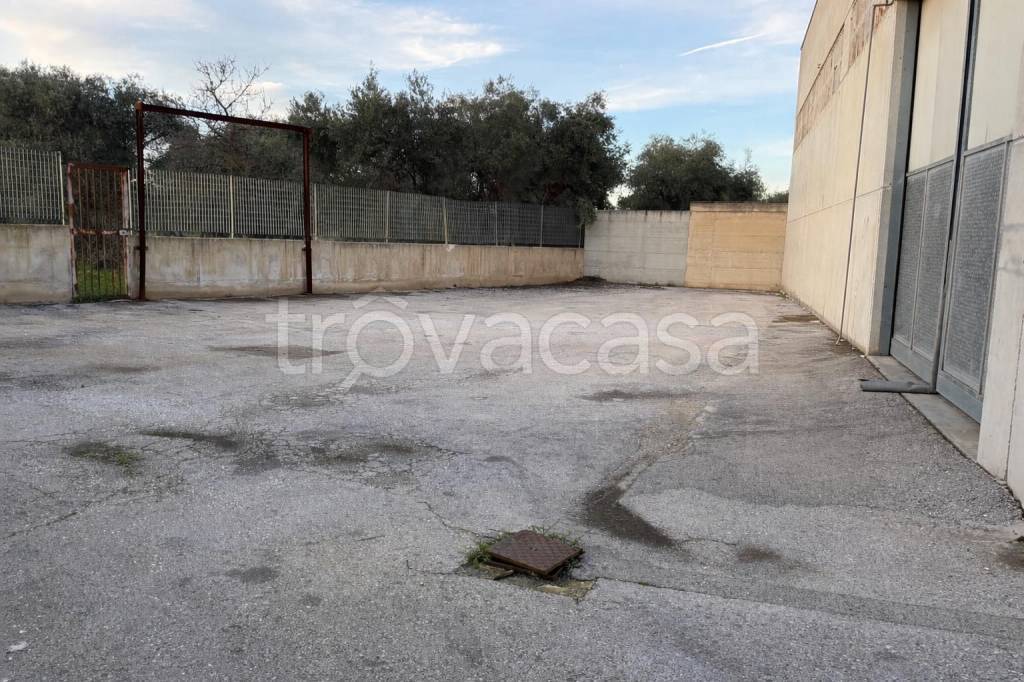 immagine annuncio 8 di 13