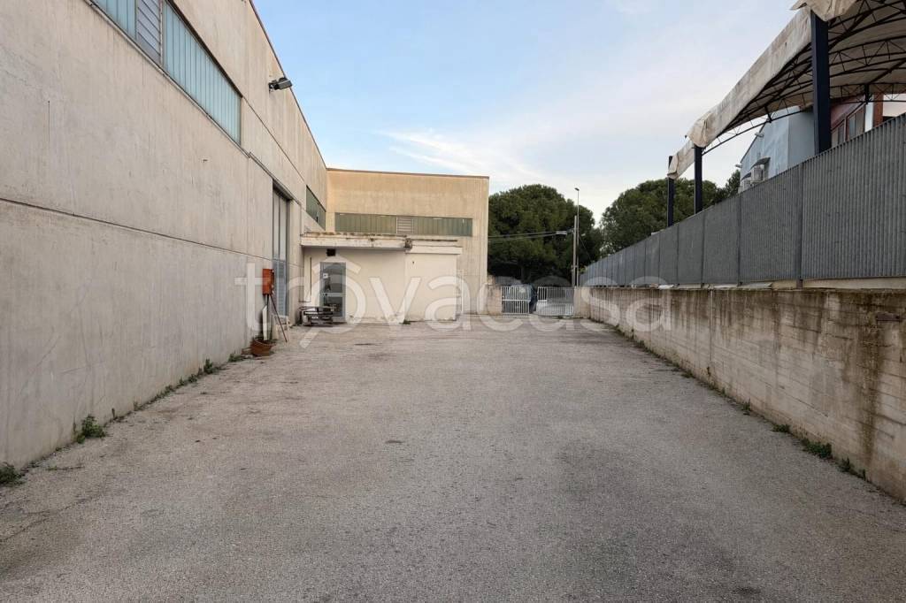 immagine annuncio 9 di 13