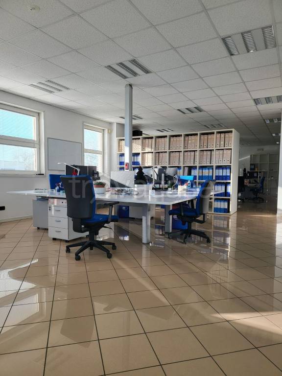 immagine annuncio 3 di 14