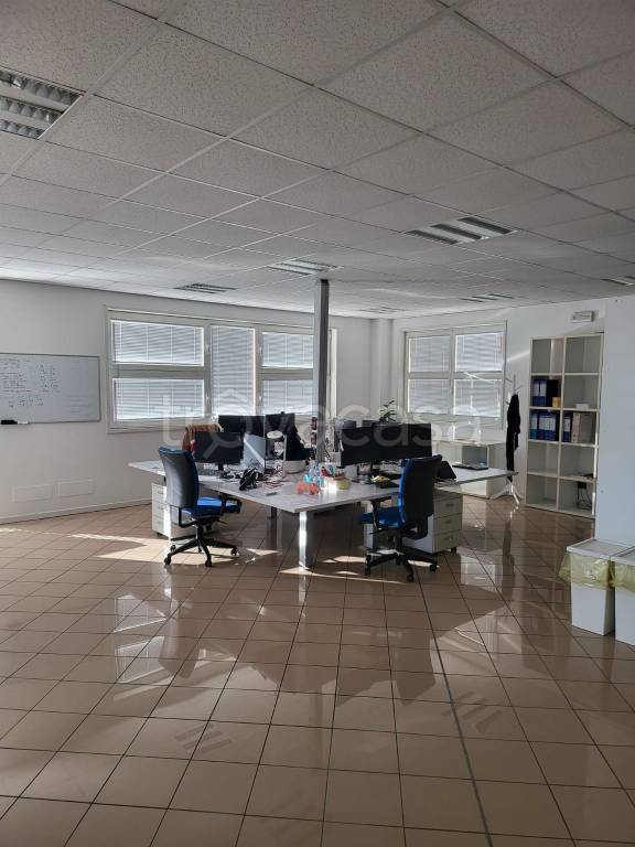 immagine annuncio 2 di 14